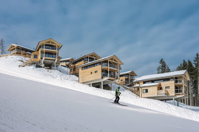 Vrijstaande chalets direct aan de skipiste op Alps Resorts Alpenchalets Reiteralm