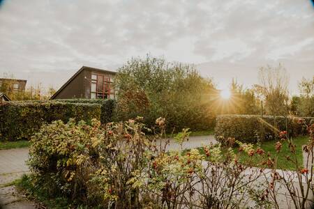 Vakantiehuizen in het groen op Dutchen Park Buiten Bergen