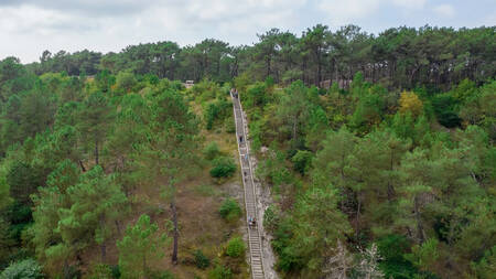 Natuurgebied de Schoorlse Duinen nabij Landal Residence Berger Duinen