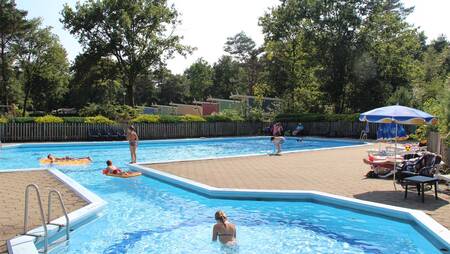 Mensen aan het zwemmen in het buitenbad van vakantiepark Molecaten Park De Koerberg