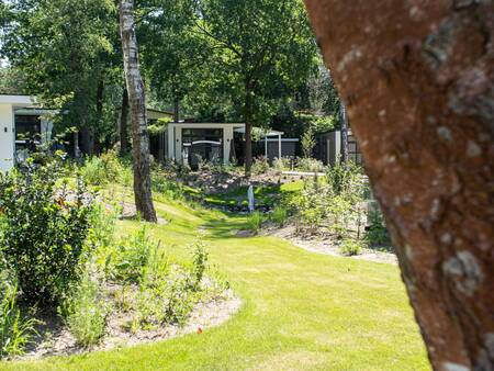 Vakantiehuizen aan een grasveld op vakantiepark Topparken Recreatiepark Beekbergen